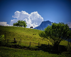 2013 06-Gruyères Pasture Switzerland